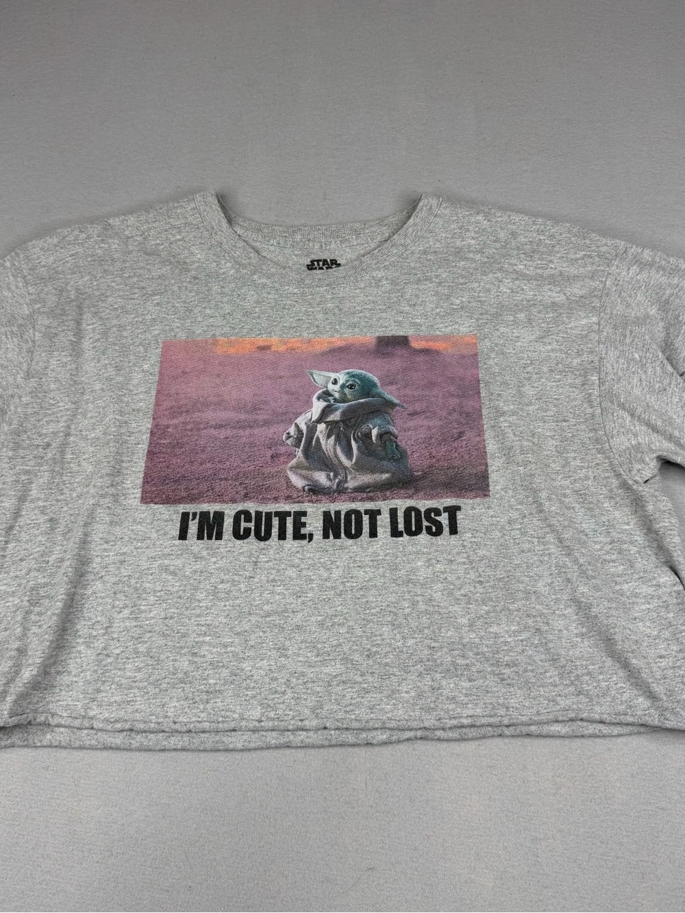 Star Wars Grogu Baby Yoda I’m Cute Not Lost Crop Tee Gray Large Disney
